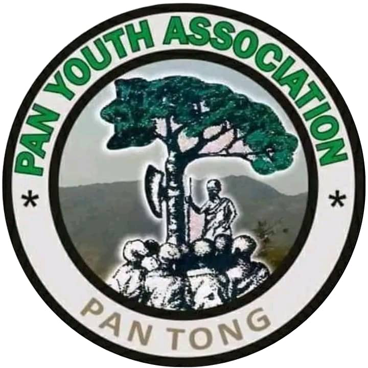 PAN Youth Association Logo